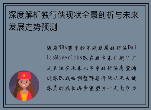 深度解析独行侠现状全景剖析与未来发展走势预测